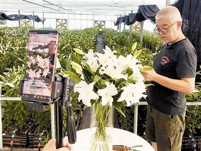 武清区梅厂镇 一纸“花经济”做强特色种植区